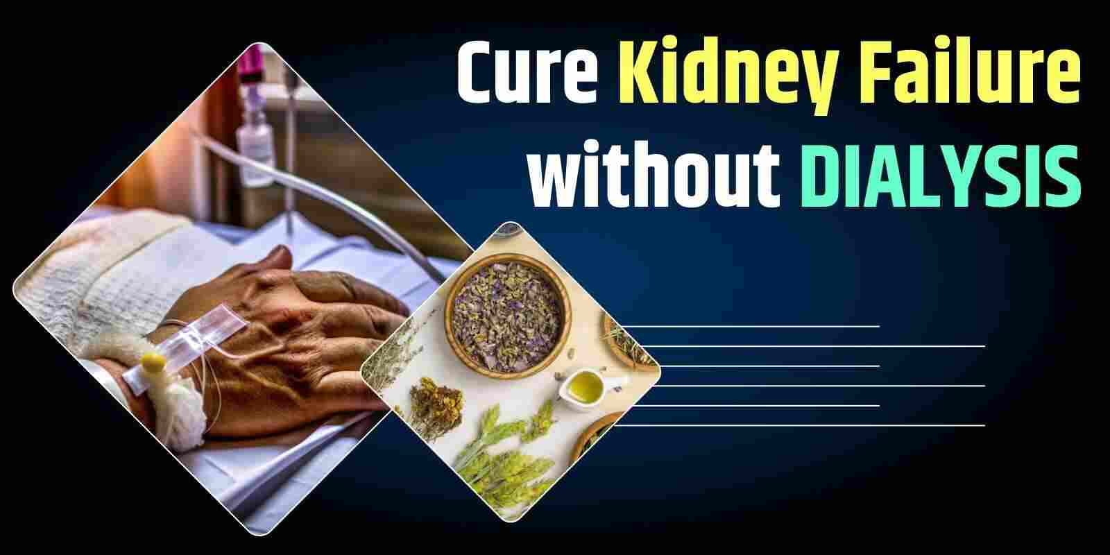 Cure Kidney Failure without Dialysis